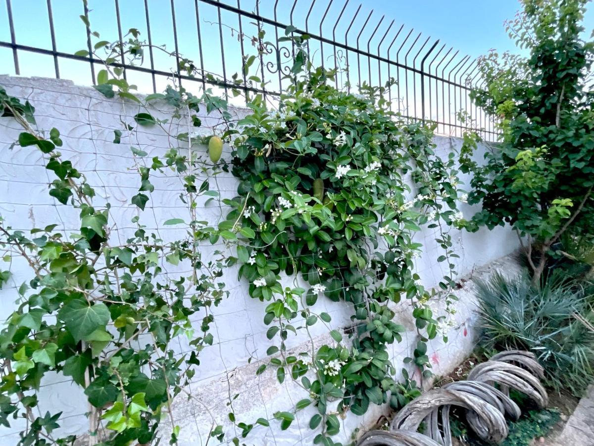 Villa Sa Torre Ibiza Town Exterior photo